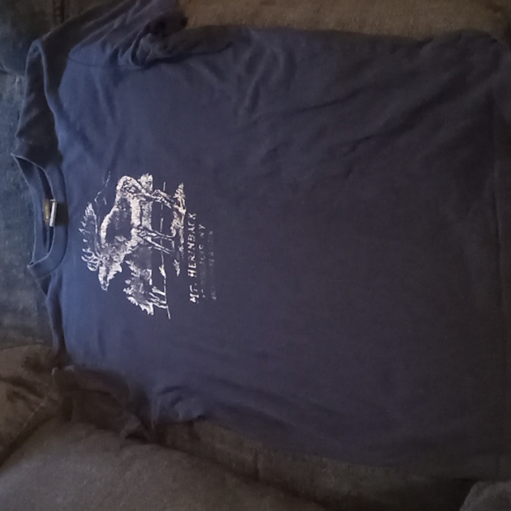 Abercrombie & Fitch mens t shirt L